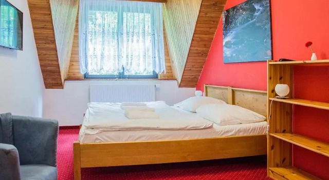 Двухместный номер Standard Horský hotel Vidly