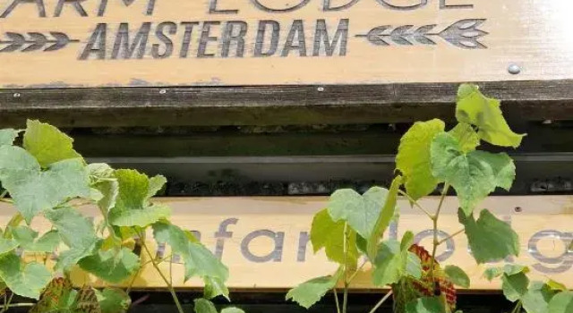 Amsterdam Farm Lodge: green area, great with kids, Забронировать Фермерский дом Амстердам 