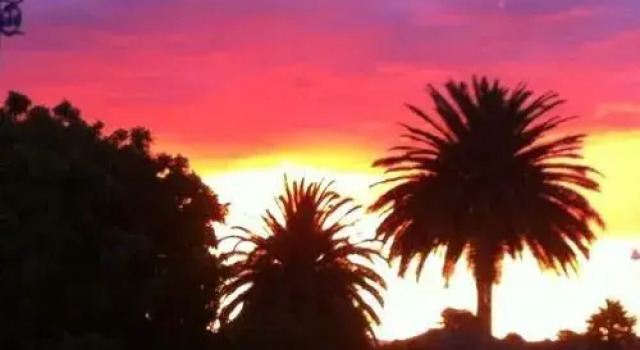 Royal Palms Papamoa Bed & Breakfast