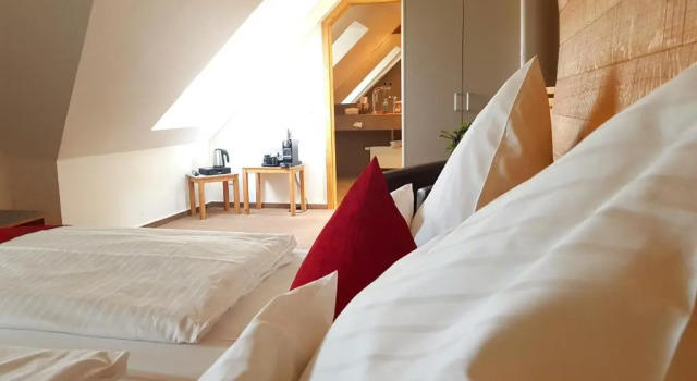 Номер Superior Hotel zur Malzmühle