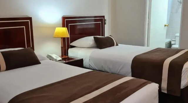 Двухместный номер Standard Hotel Leonardo da Vinci