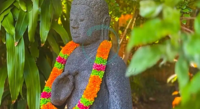 Zenhouse Bali Pool Garden Massive Grounds, Забронировать Дом для отпуска Коттеджи Северной Аделаиды, Коттедж