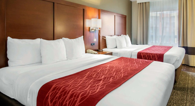 Четырёхместный номер Standard Comfort Inn & Suites San Francisco Airport North