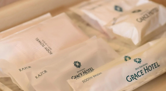 Одноместный номер Standard Shin Yokohama Grace Hotel