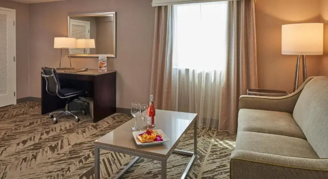 Полулюкс Hilton Cincinnati Airport