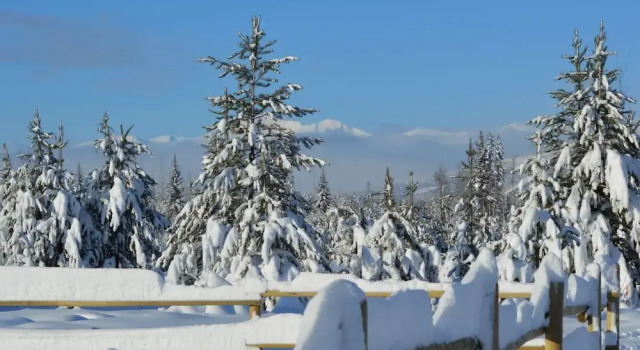 Willow Ranch, Buchen Sie Hotel Valemount 