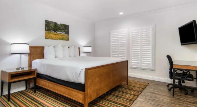 Sviitti Aggie Inn