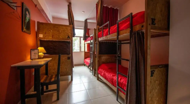 Кровать в общем номере Oshovia Hostel