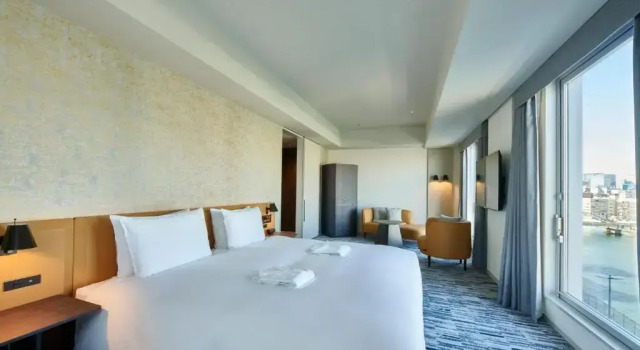 Двухместный номер Deluxe с красивым видом из окна The Gate Hotel Ryogoku by Hulic