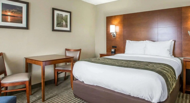 Четырёхместный люкс Comfort Inn Hammond I-94