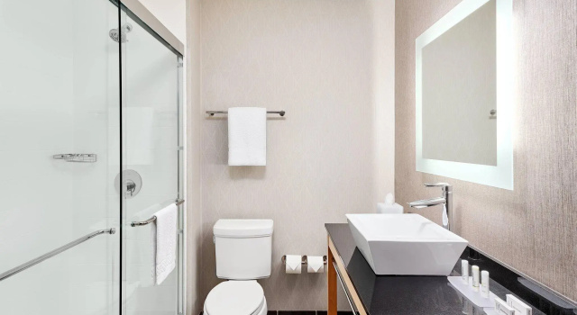 Двухместный люкс SpringHill Suites by Marriott Roanoke