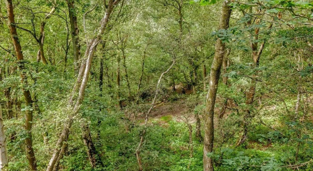 Quarry Walk Lodges