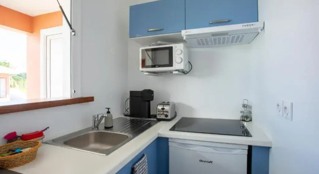 Студия Hôtel Guadeloupe Palm Suites
