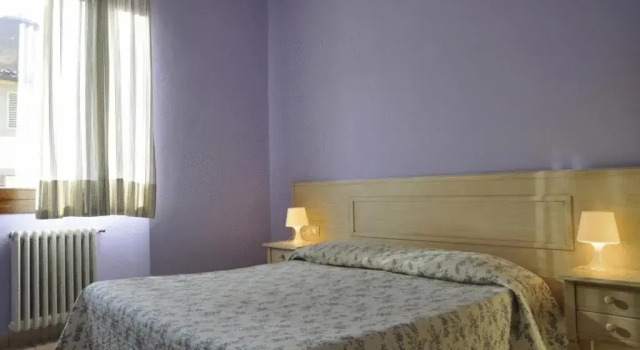 Двухместный номер Economy Hotel Regina