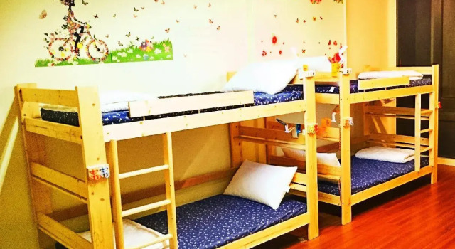 Кровать в общем номере (женский номер) Chalucet Castle Hostel