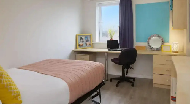 Номер Standard Student Only Knoll Court