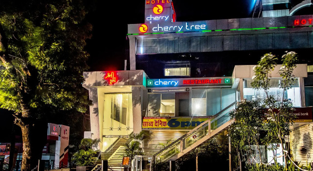 Treebo Cherry Tree