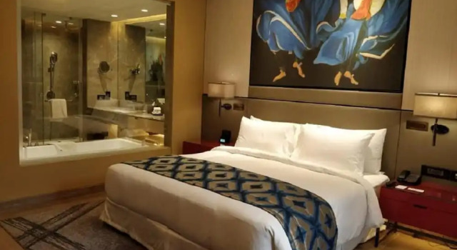 Клубный номер Business Radisson Blu Faridabad