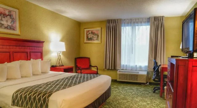 Номер Standard Spark by Hilton Walker Grand Rapids North