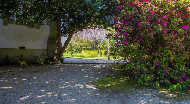 Коттедж с 5 комнатами Liiiving in Ofir | Manor Pool House