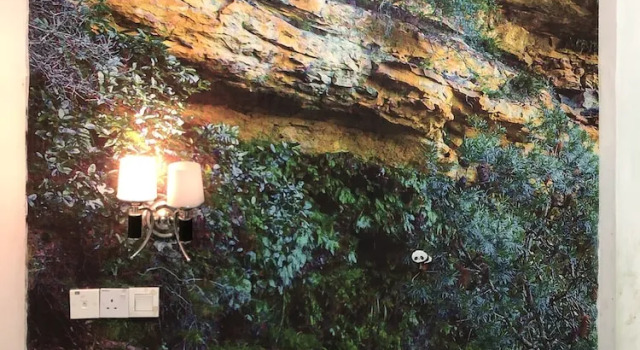Трёхместный номер Standard Rain Forest Hotel