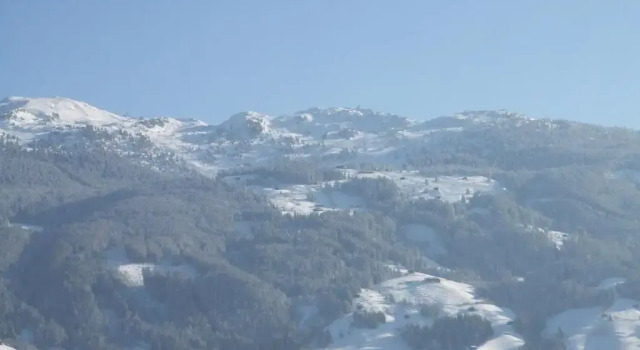 Апартаменты Landhaus Rieder im Zillertal