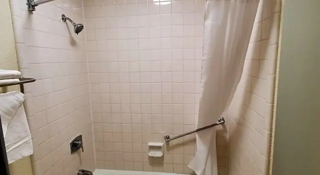 Люкс Palmetto Inn & Suites