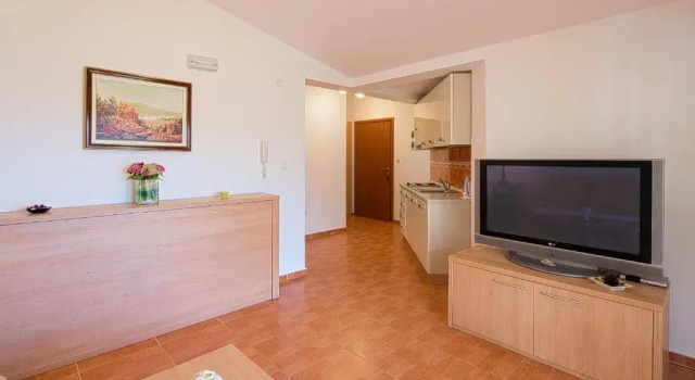 Апартаменты c 1 комнатой с видом на море Apartments Radević