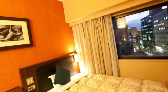 Двухместный номер Standard Toyama Manten Hotel