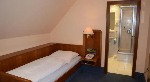 Camera Standard Hotel Grüner Baum