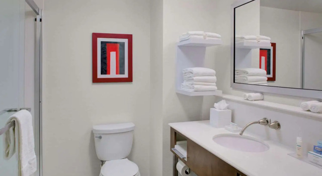 Двухместный номер Standard Hampton Inn & Suites by Hilton Columbus Scioto Downs