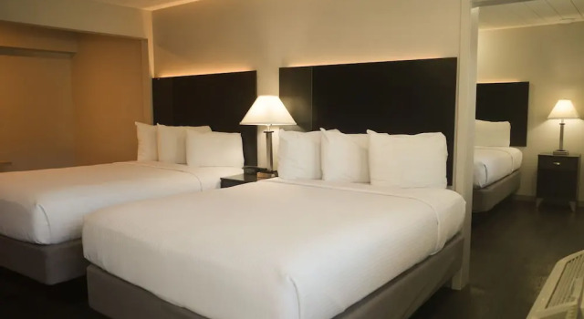 Двухместный люкс Americana Modern Hotel