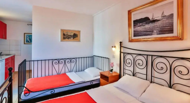 Студия Standard Apartmani Luka - Vila Brzulovic