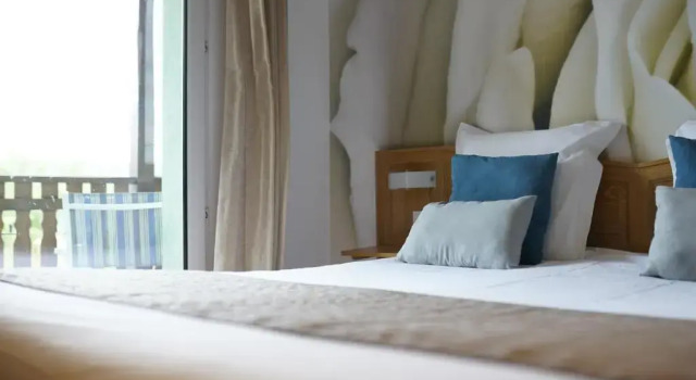 Standard chambre A lArbre Vert