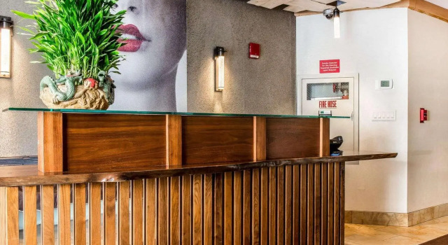 Solita Soho Hotel, Забронировать Отель Сохо Нью-Йорк, рядом с Спортивно-оздоровительный центр Тони Даполито
