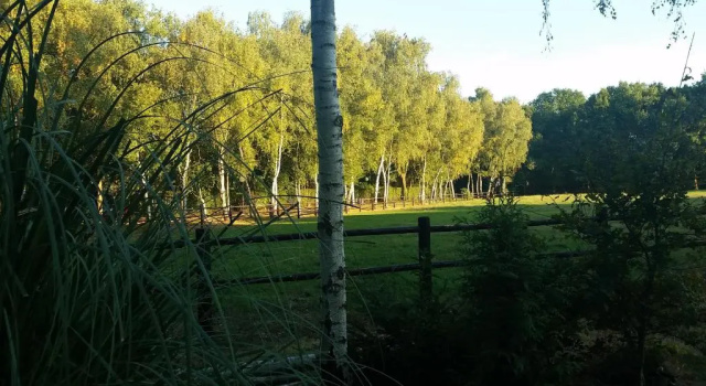 Студия Villa Berk en Heide