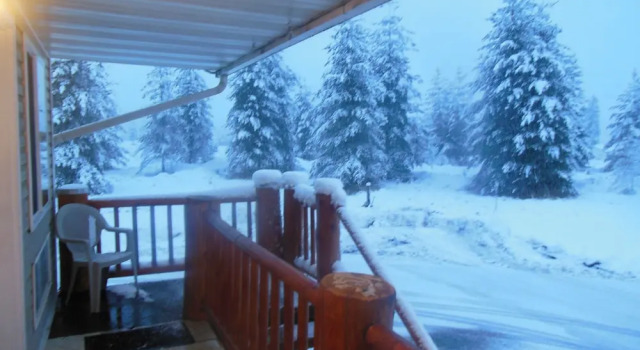 Номер Standard Clark Fork Lodge