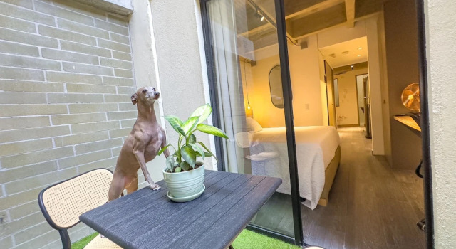 Апартаменты B 48 Living by B Rent