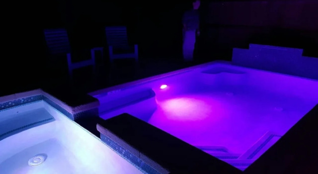 The Pink Palm