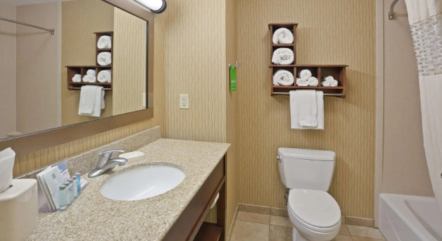 Четырёхместный номер Standard Hampton Inn Matamoras