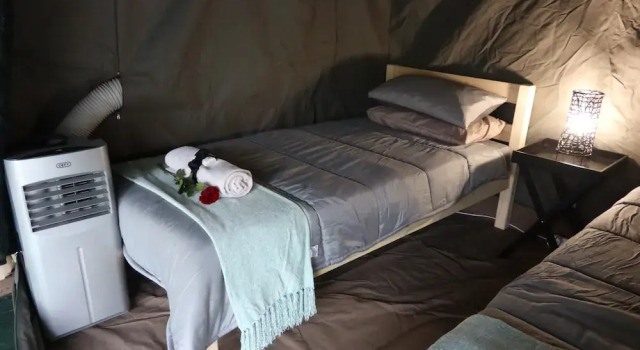 Kruger Park Tours, Book Hotel Kruger National Park Mpumalanga