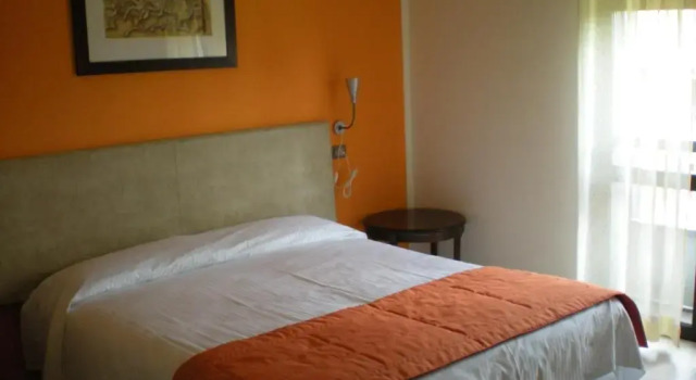 Одноместный номер Standard Aer Hotel Malpensa