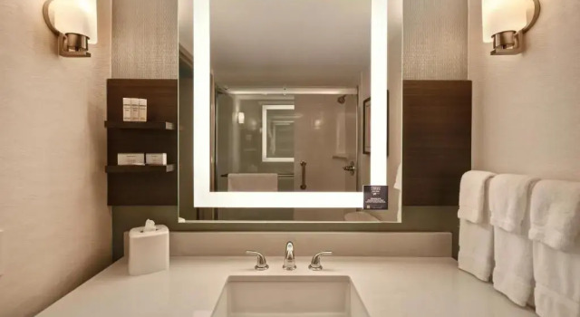Двухместный номер Premium Hilton Garden Inn Detroit Metro Airport
