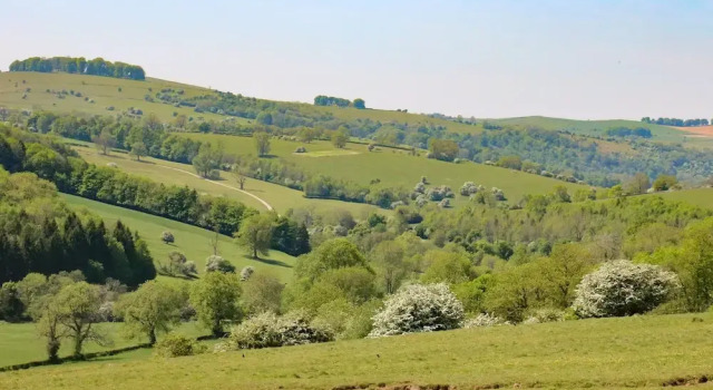 Căsuță Milldale