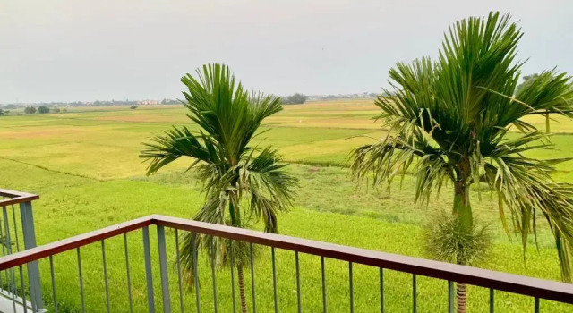 Двухместный номер Grand Deluxe with rice field view Hoian Tranquil Lodge - Chon Binh Yen