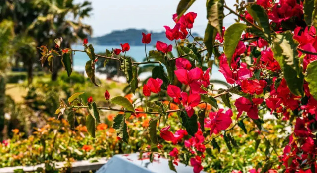 Коттедж Sunshine Cottage by the Sea
