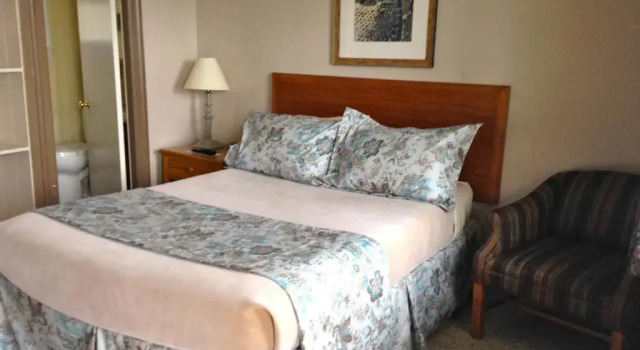 Двухместный номер Standard Mount Blue Motel