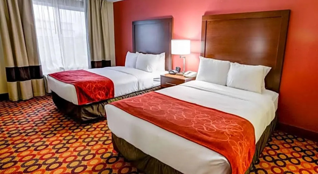 Люкс Standard Concord Suites by IHG