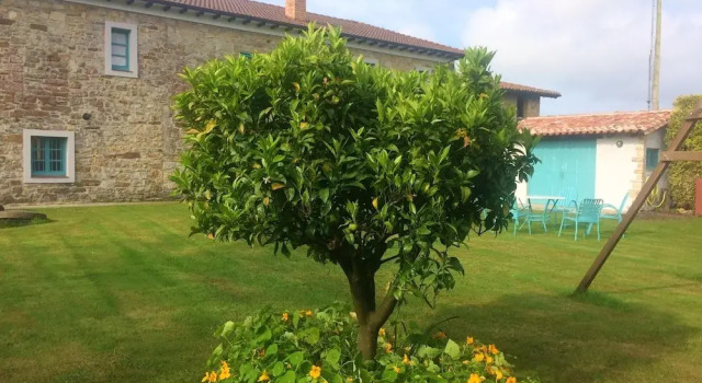 House With 7 Bedrooms in Villaviciosa, With Wonderful Mountain View, E, Prenota Hotel Villaviciosa 