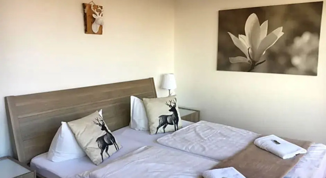 Номер Comfort с балконом Harmonie Hotel Rust